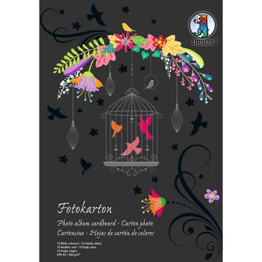 Ursus, URSUS Fotokarton-Block A4 3704690SE 300g, schwarz 10 Blatt