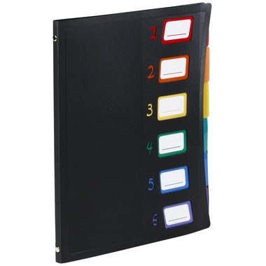 VIQUEL, VIQUEL Organisationsmappe 493067 A4 1-6 schwarz/bunt