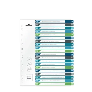 DURABLE, DURABLE Register A4+ 679727 mehrfarbig 1-20