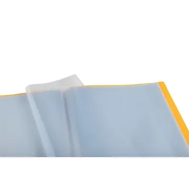 Exacompta, EXACOMPTA Sichtbuch A4 85109E gelb 100 Taschen