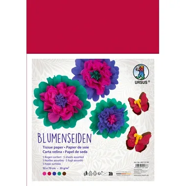 Ursus, URSUS Seidenpapier 50x70cm 4622299 farbig 5 Bogen