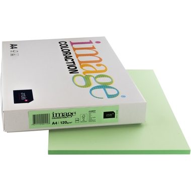 ANTALIS, ANTALIS Universal Papier A4 266689 120g, forest 250 Blatt