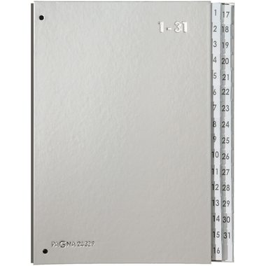 PAGNA, PAGNA Pultordner Color A4 24329-14 silber, 1-31