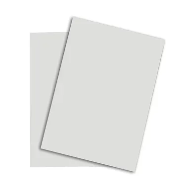 Papyrus, PAPYRUS Rainbow Papier FSC A4 88043118 hellgrau, 120g 250 Blatt