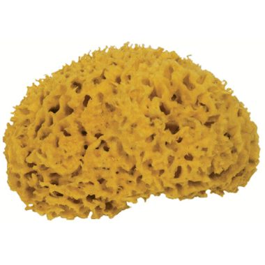 Frina, FRINA Naturschwamm 913.05 gelb 5cm