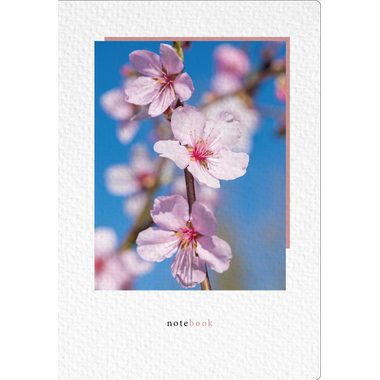 NATUR VERLAG, NATUR VERLAG Notizbuch Crushpaper A5 11018N Mandel Foto, dotted