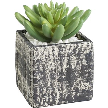 Eglo, EGLO Kunstpflanze 12cm 428007 gr&uuml;n, im Topf