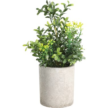 Eglo, EGLO Kunstpflanze 25cm 428025 gr&uuml;n, im Topf