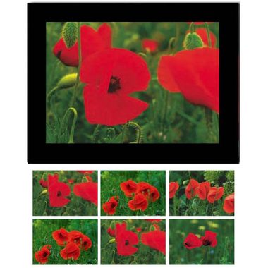 HASCHEMI, HASCHEMI Doppelkarten-Box 818 818 MOHNBLUMEN