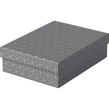 Esselte, ESSELTE Aufbewahrungsboxen Home M 628285 365x265x100mm, grau 3 Stk