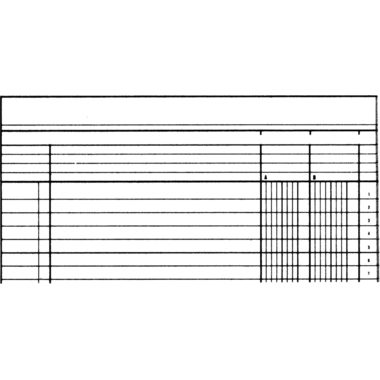 Simplex, SIMPLEX Statistikbuch A4 19082 2 Kolonnen, gr&uuml;n 40 Blatt
