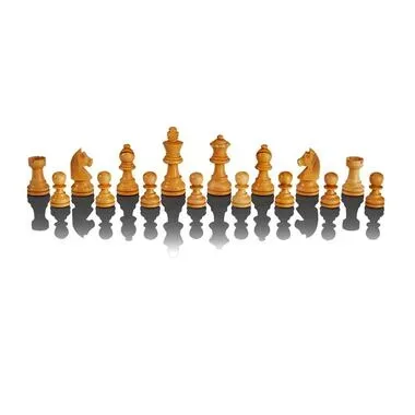 Millennium, MILLENNIUM ChessGenius Pro 2024 Wood Edition Schachcomputer