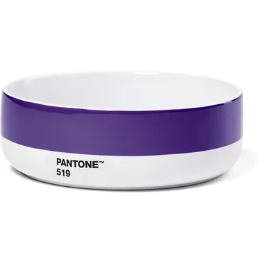PANTONE Schale 500ml 101620519 violet