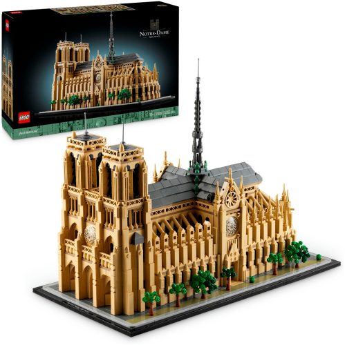 21061 Notre-Dame de Paris Multicolor
