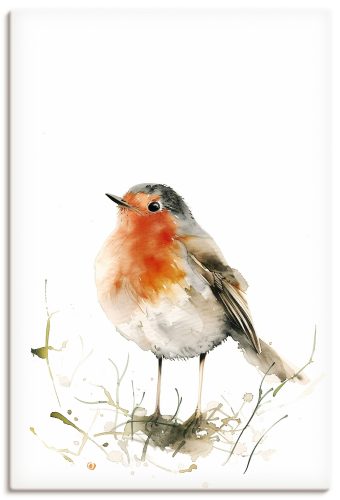 Artland Wandbild "Aquarell Rotkehlchen" Vogelbilder 1 Stk. tlg. als Alubild, Leinwandbild, Poster, Wandaufkleber in verschied. Grössen