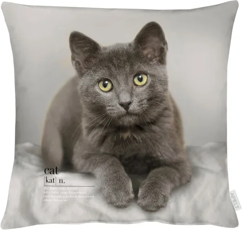 Apelt, Apelt Kissenhülle Katze Grau 45x45 cm  | Schubiger Möbel