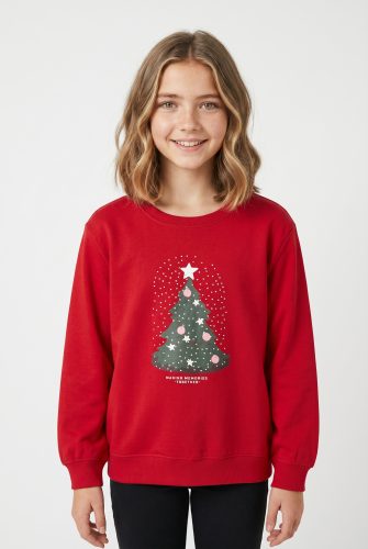 Name It Sweatshirt »NKFRILI LS NREG SWEAT BRU BOX«