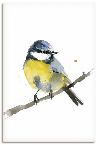 Artland Wandbild "Aquarell Blaumeise" Vogelbilder 1 Stk. tlg. als Alubild, Leinwandbild, Poster, Wandaufkleber in verschied. Grössen