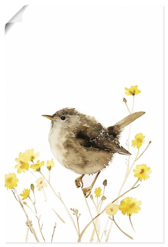 Artland Wandbild "Aquarell Zaunkönig" Vogelbilder 1 Stk. tlg. als Alubild, Leinwandbild, Poster, Wandaufkleber in verschied. Grössen
