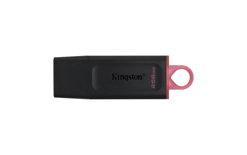 Kingston -  DataTraveler Exodia 256 GB USB 3.2 Flash-Laufwerk, Pink, 256 GB