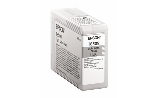 Epson, Epson T8509 schwarz - light black Tintenpatrone