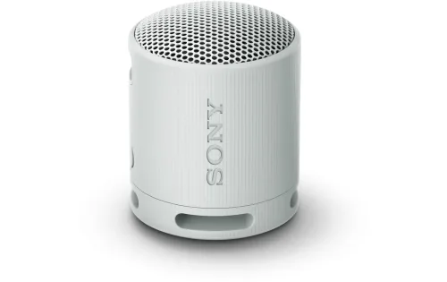 Sony, SONY SRS-XB100 - Bluetooth-Lautsprecher (Grau)