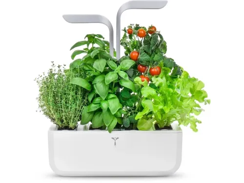VÉRITABLE SMART Indoor-Gemüsegarten Weiss