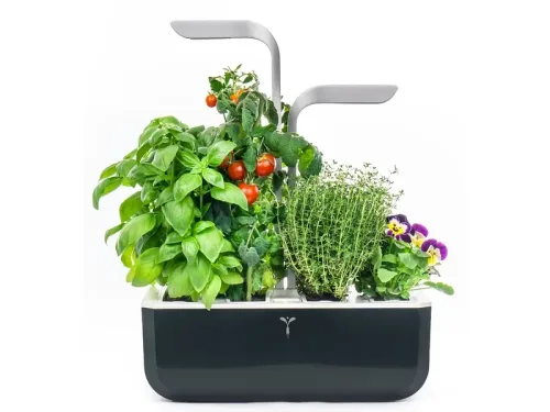 VÉRITABLE SMART Indoor-Gemüsegarten Schwarz