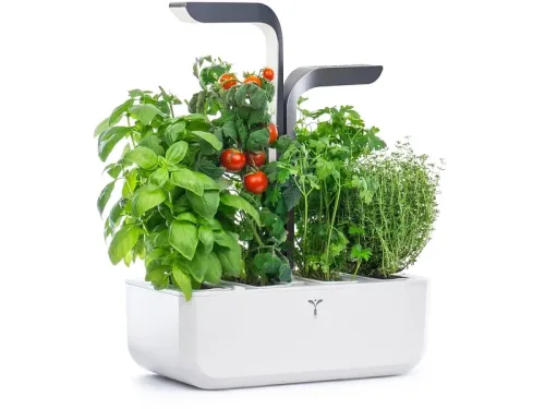 VÉRITABLE CONNECT Indoor-Gemüsegarten Weiss