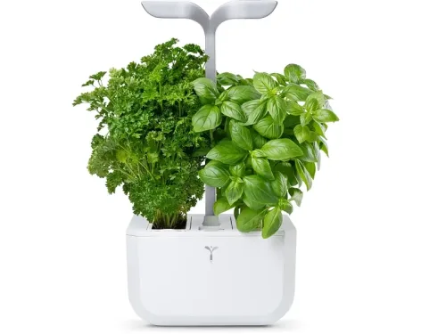VÉRITABLE SMART Indoor-Gemüsegarten Weiss
