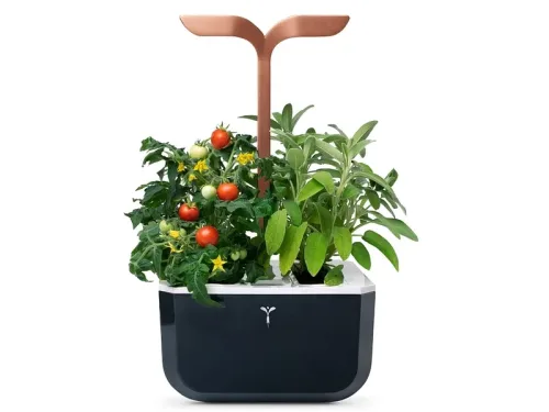 VÉRITABLE SMART Indoor-Gemüsegarten Schwarz