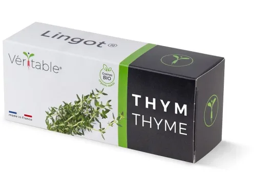 VÉRITABLE Lingot Gemüsegarten Thyme Grün