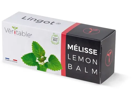 VÉRITABLE Lingot Gemüsegarten Lemon Balm Grün