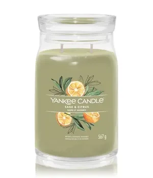Yankee Candle Signature, Yankee Candle Signature - Duftkerze im Glas, 567G, Weidengrün