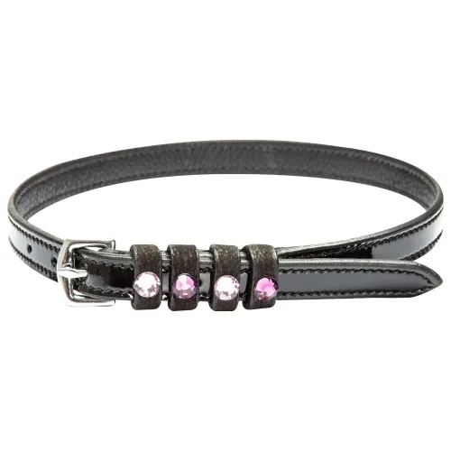Imperial Riding, Imperial Riding Sporenriemen Leder Pardouz