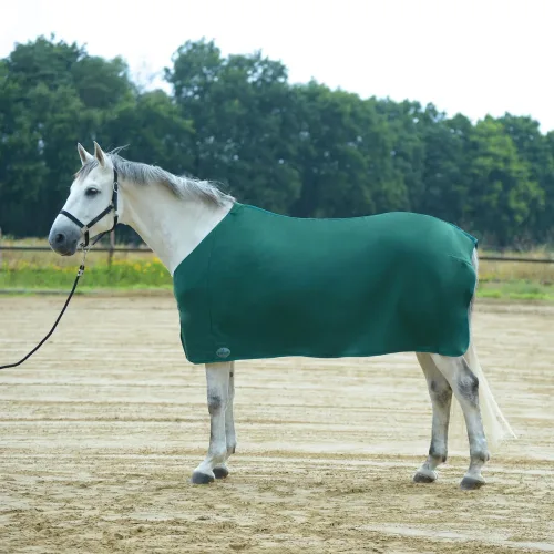 Busse Abschwitzdecke Basic II