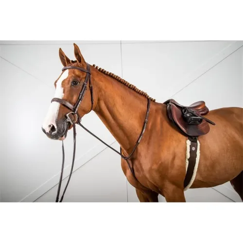 Dyon Hunter Collection festes Martingal