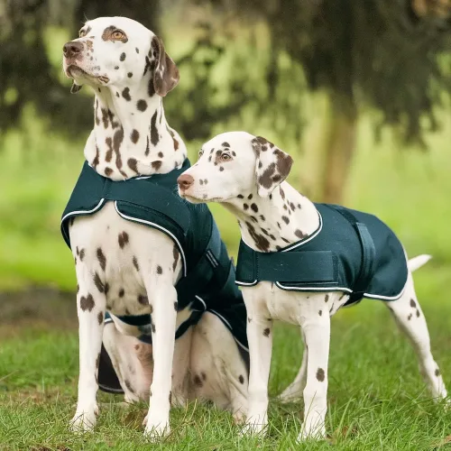 Waldhausen, Waldhausen Hunde Regendecke