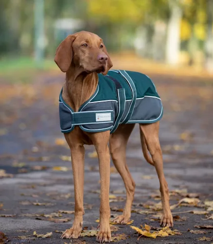 Waldhausen, Waldhausen Hundedecke Comfort Line 200 g