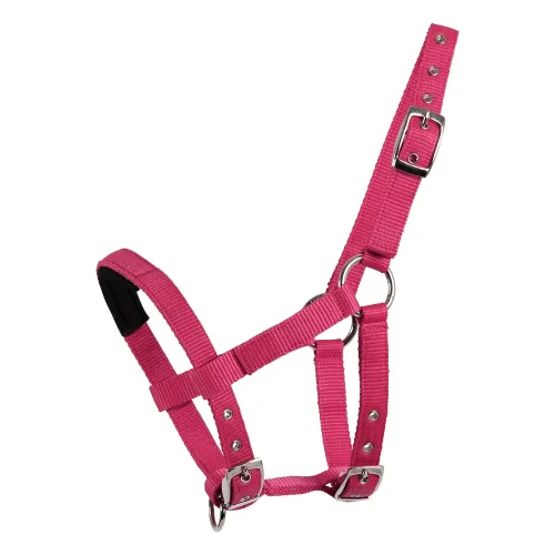 Waldhausen, Waldhausen MiniShetty Halfter