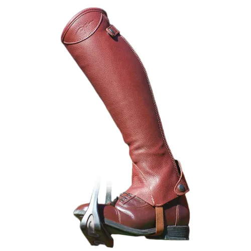 Dyon, Dyon Kurzchaps Comfort