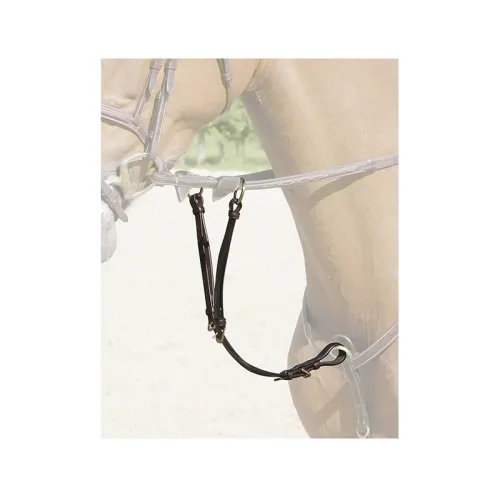 Dyon, Dyon DCollection Martingalgabel Standard