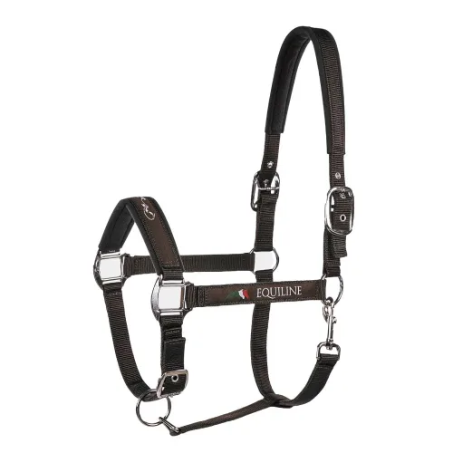 Equiline, Equiline Timmy Halfter