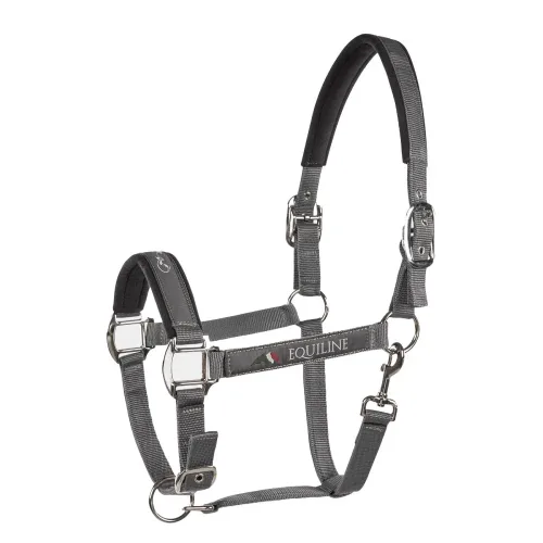 Equiline, Equiline Timmy Halfter