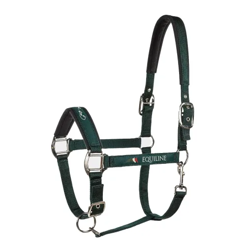 Equiline, Equiline Timmy Halfter