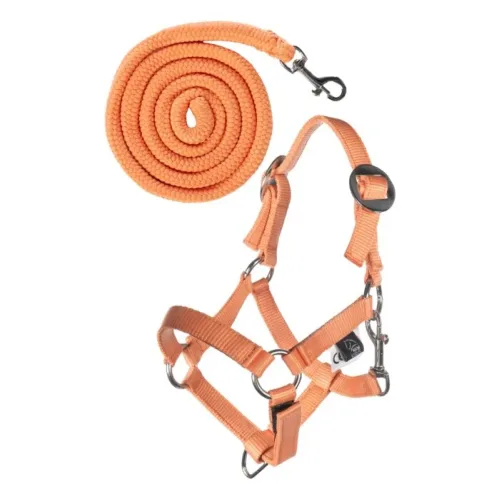 HKM, HKM Halfter und Strick Hobby Horsing Basic