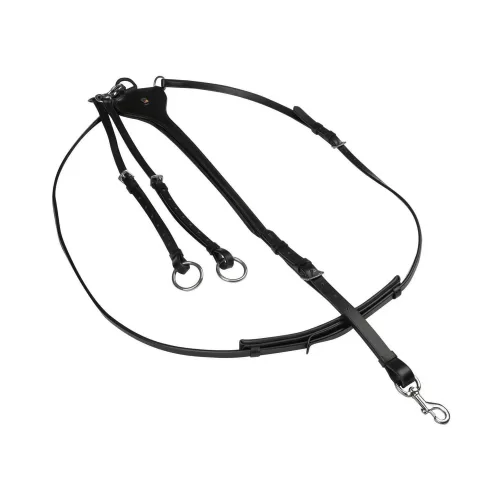 Waldhausen, Waldhausen XLine Martingal Professional