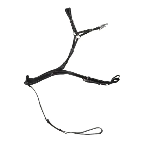 Dyon, Dyon anatomisches Vorderzeug US Collection