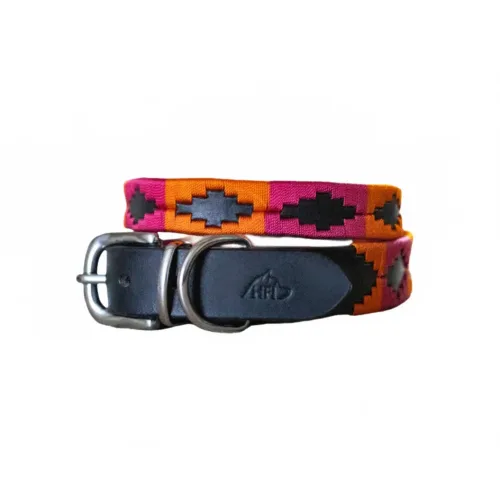 HFI, HFI Hundehalsband im PoloDesign