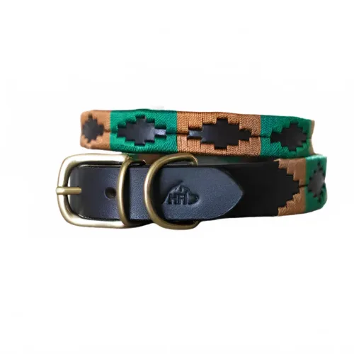 HFI, HFI Hundehalsband im PoloDesign